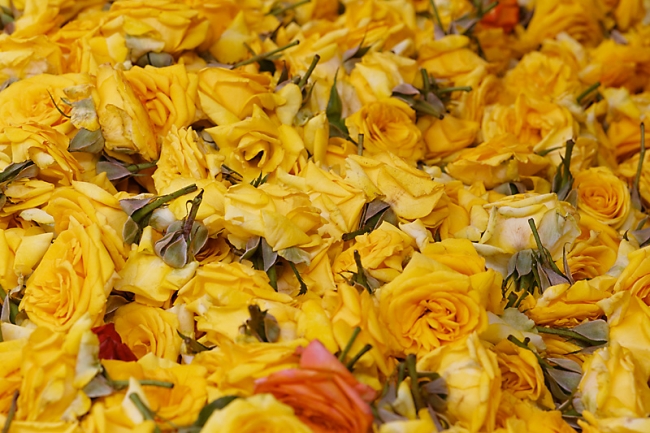 Mysore-Le marché-020